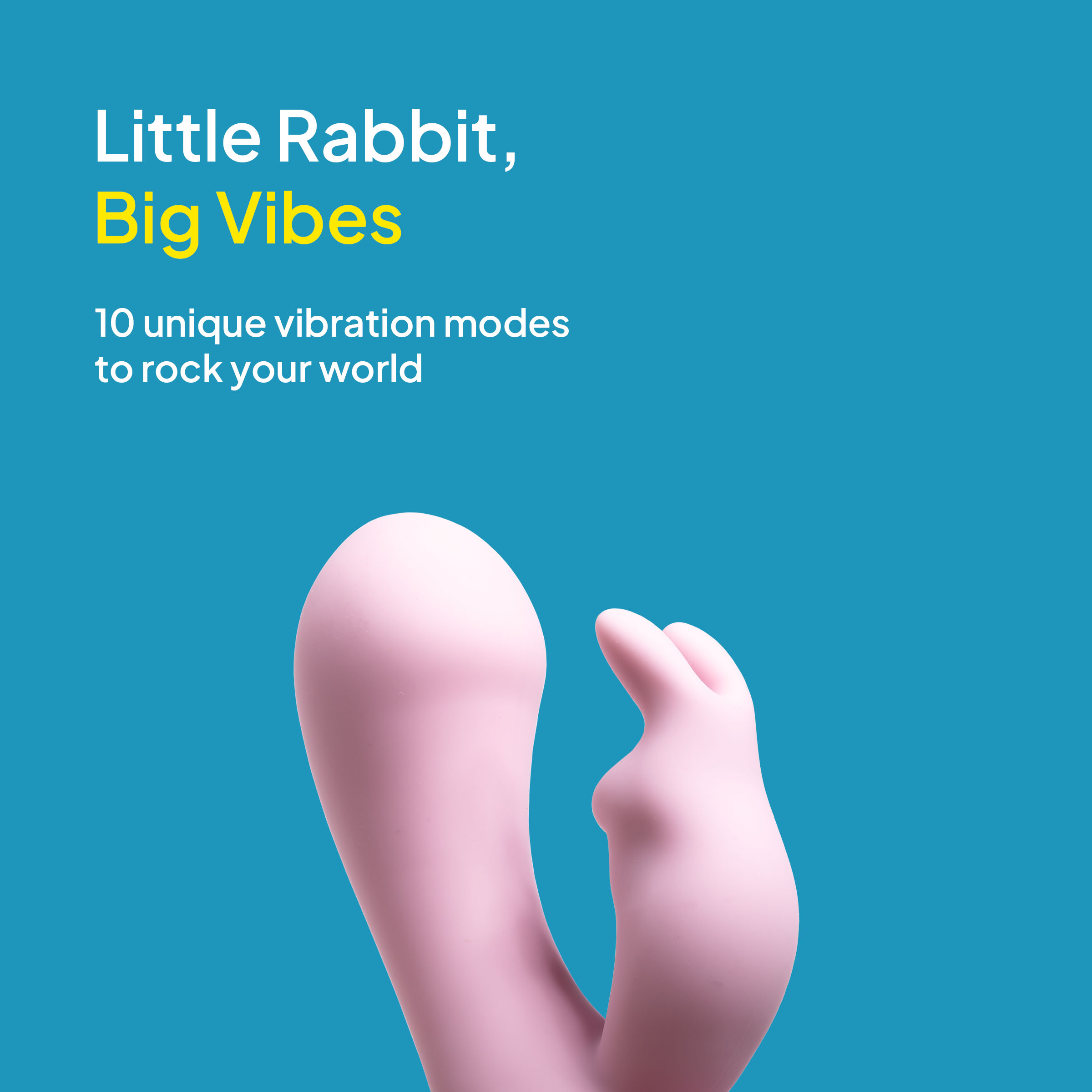 Pocket Rabbit